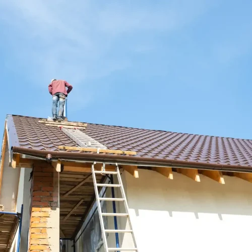 Goldberg Construction (57)