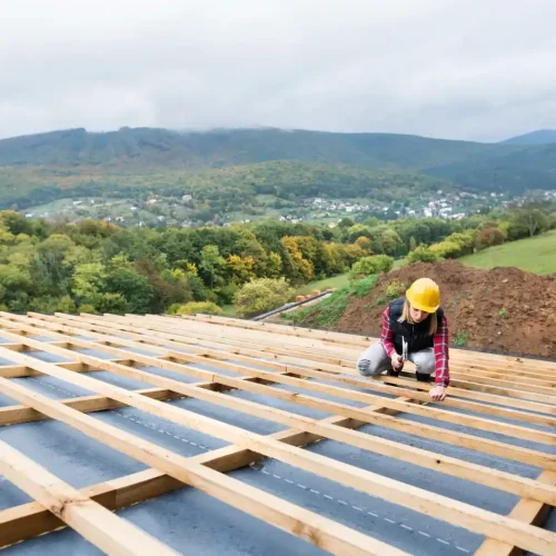 Goldberg Construction (67)